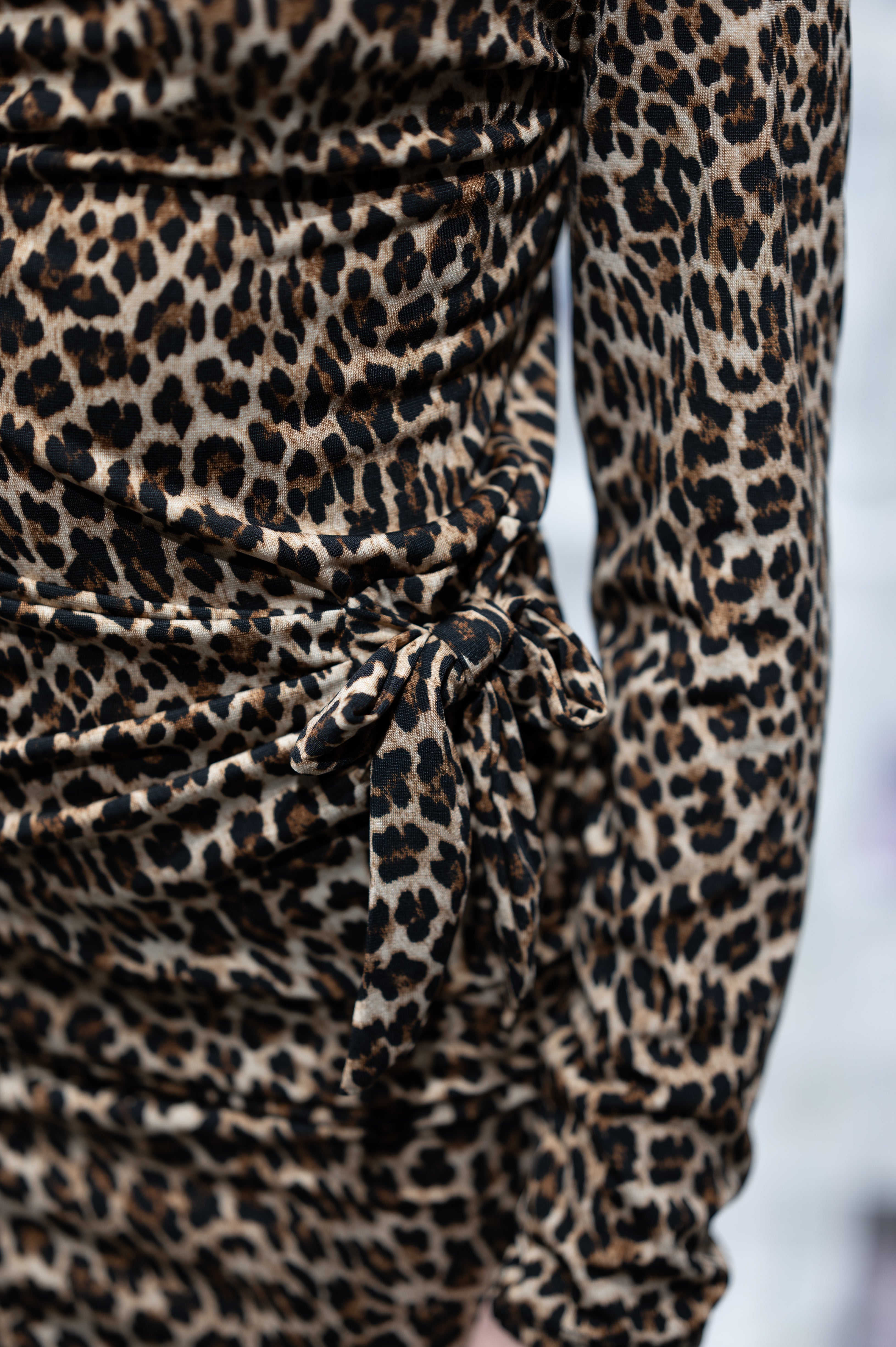 Dress Fantasy Animalier